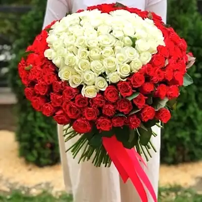 201 Roses to Istanbul