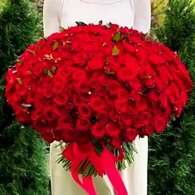 301 Red Roses to Istanbul