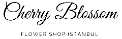Flower delivery Istanbul Logo