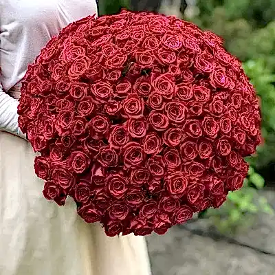 201 Raspberry Roses to Istanbul