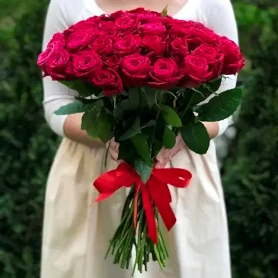 51 Raspberry Roses to Antalya