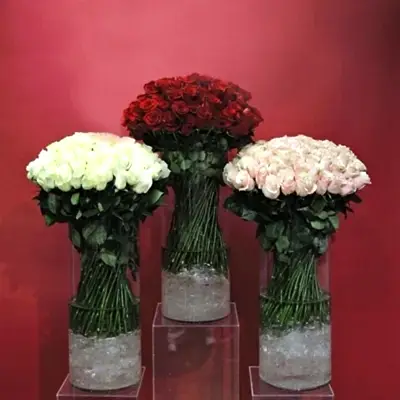 Roses in vase to istanbul