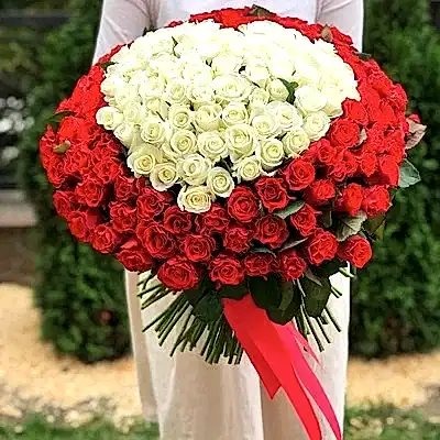 201 roses to Antalya