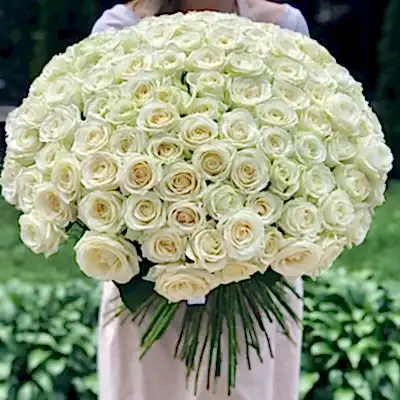 201 White Roses to Antalya