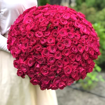 201 Raspberry Roses to Antalya