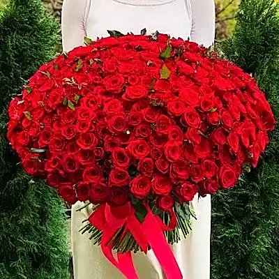301 red roses to Antalya