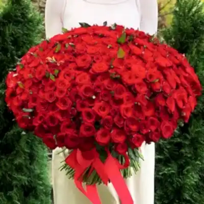 301 red roses to Bodrum