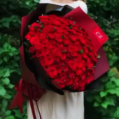 151 red roses to Bodrum
