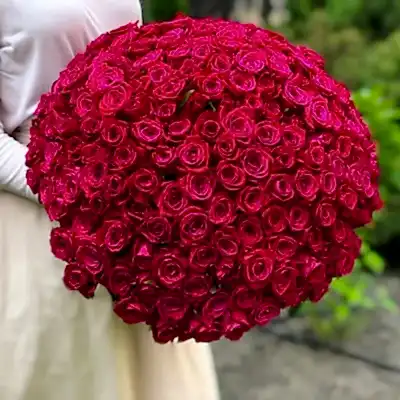 201 raspberry roses to Bodrum