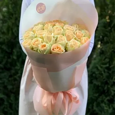 Roses to Bodrum