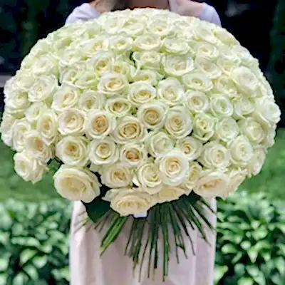 201 white roses to Bodrum